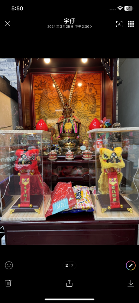 佛裝獅木樁組合